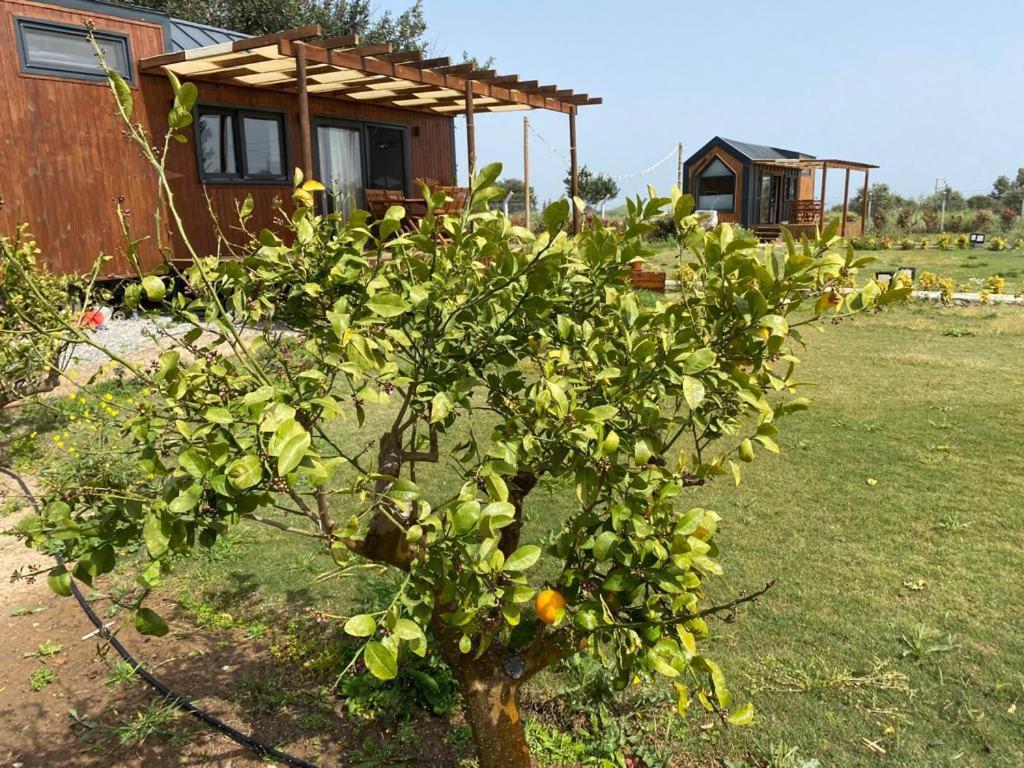 Radika Datca Kızlanköy 外观 照片